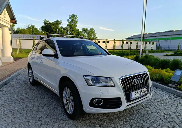 audi q5 Audi Q5 cena 78900 przebieg: 160000, rok produkcji 2016 z Cybinka